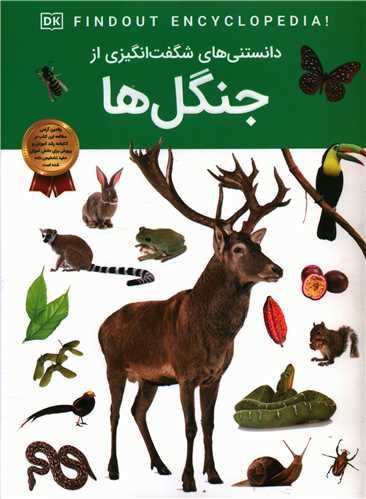جنگل ها